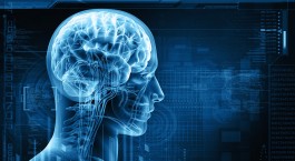 x-ray illustration of a person's head