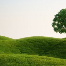Why Work For Oneself?