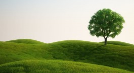Why work for oneself